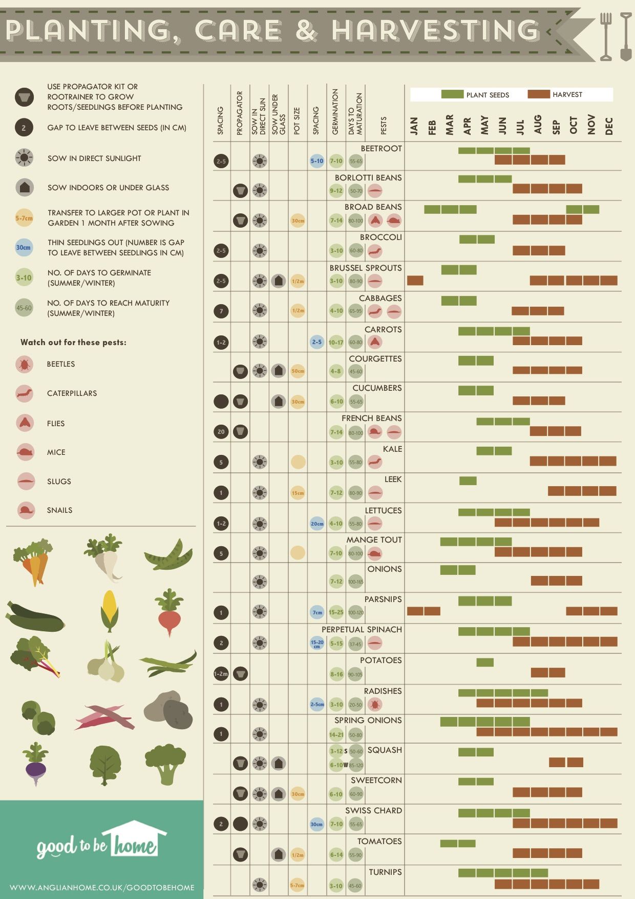 fruit planting guide
