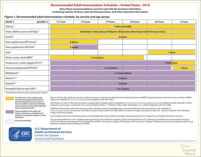 immunisation schedule qld 2017 pdf
