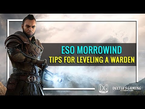 eso leveling guide 2019