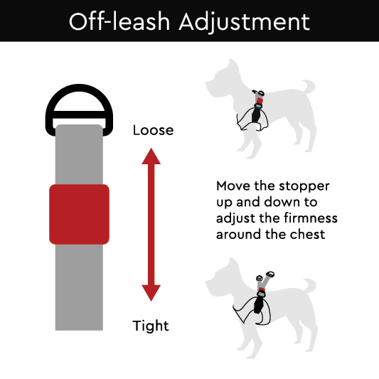 gooby simple step in harness instructions