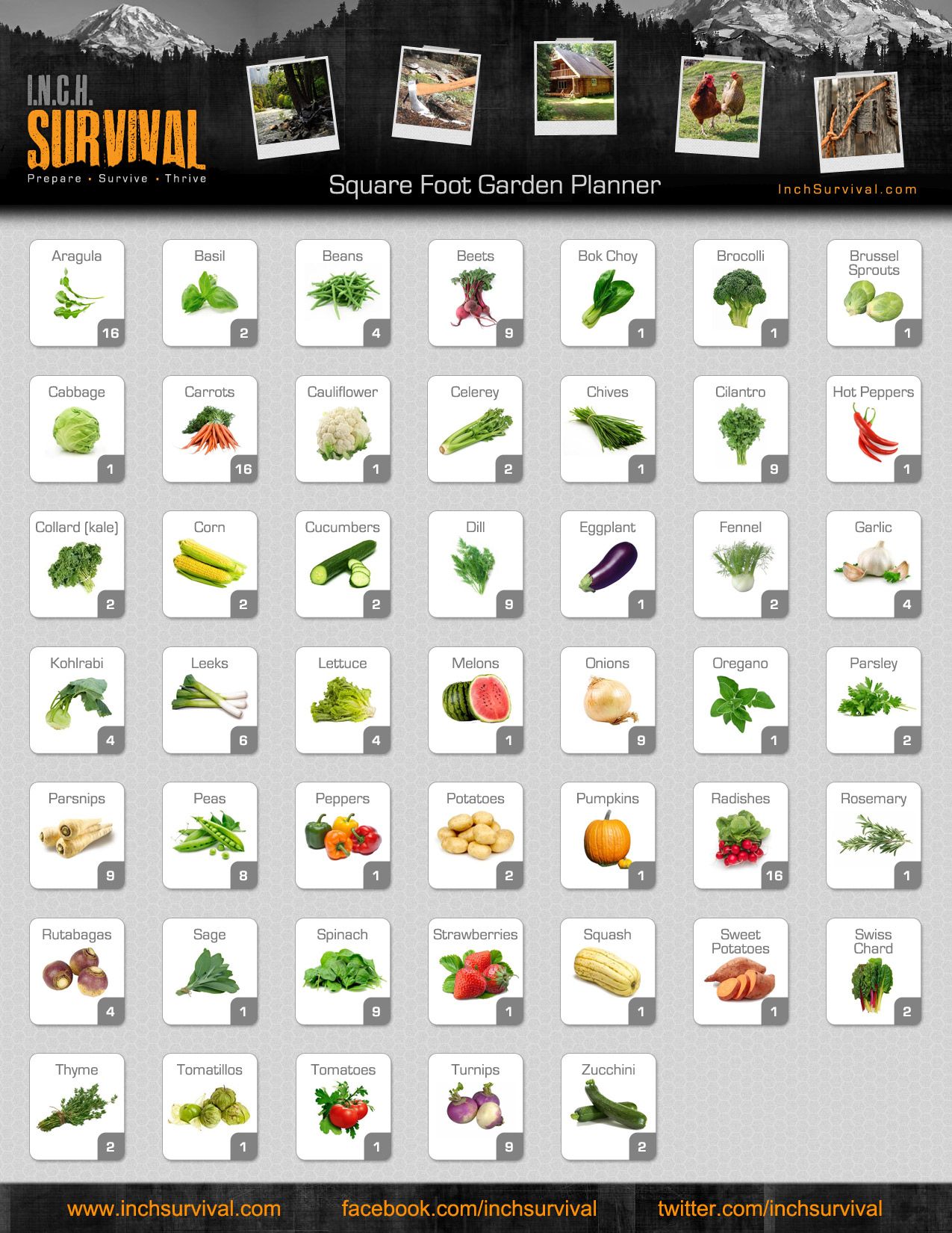 fruit planting guide