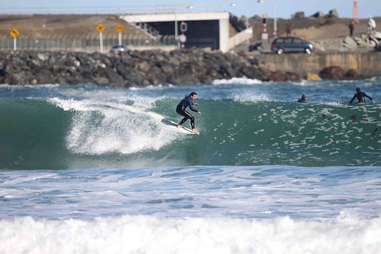 lyall bay surf guide